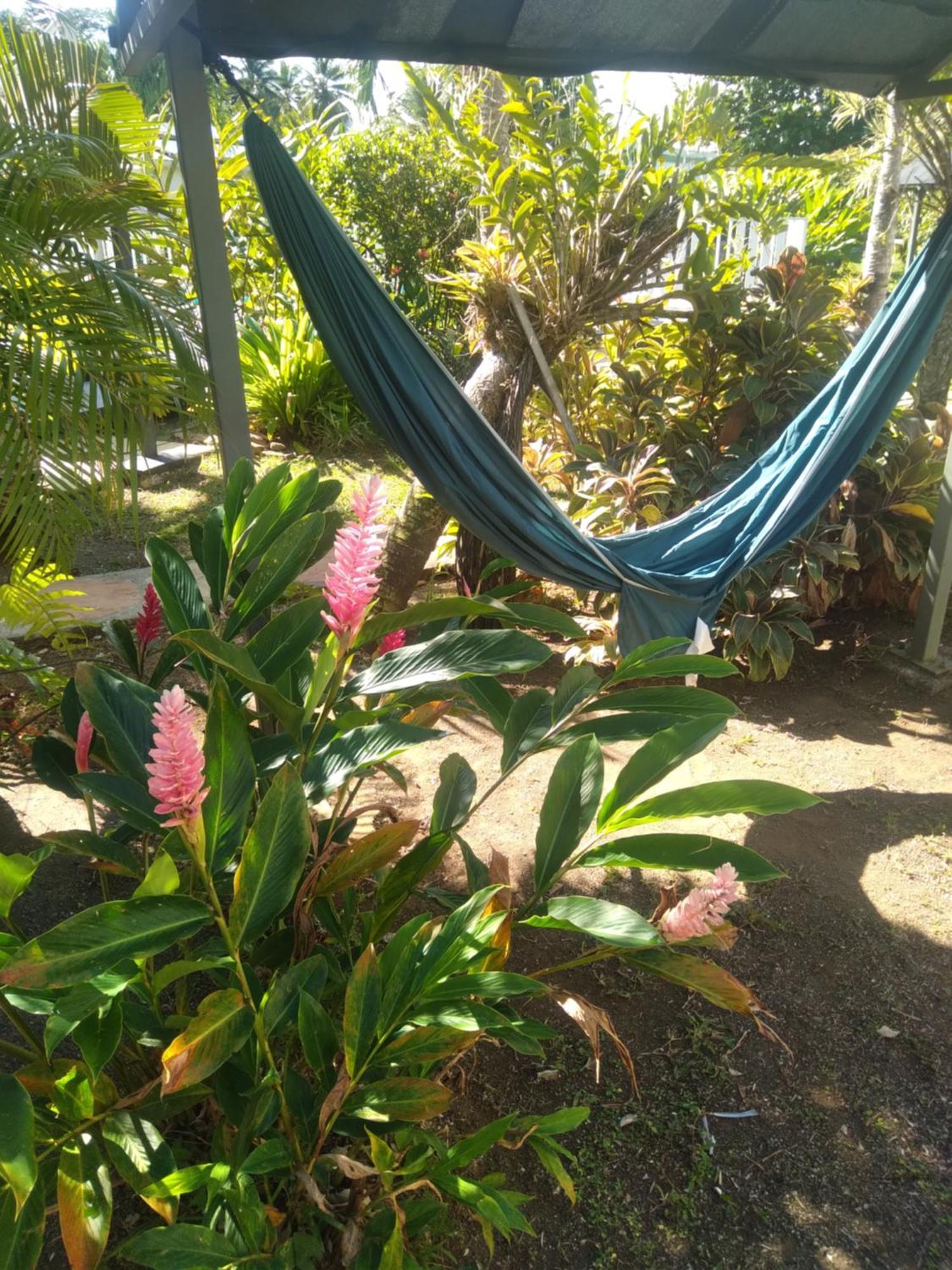 La Sainte Rosienne Mangue Villa Ngoại thất bức ảnh